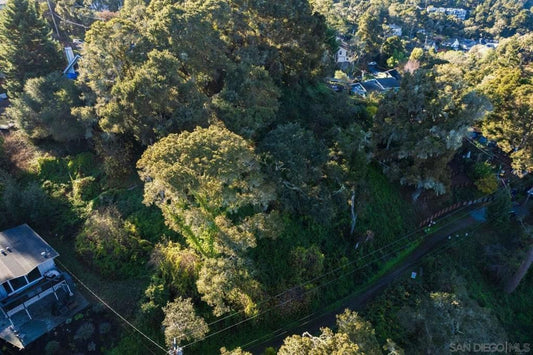 2X4FURNITURE.COM : Twin Bed